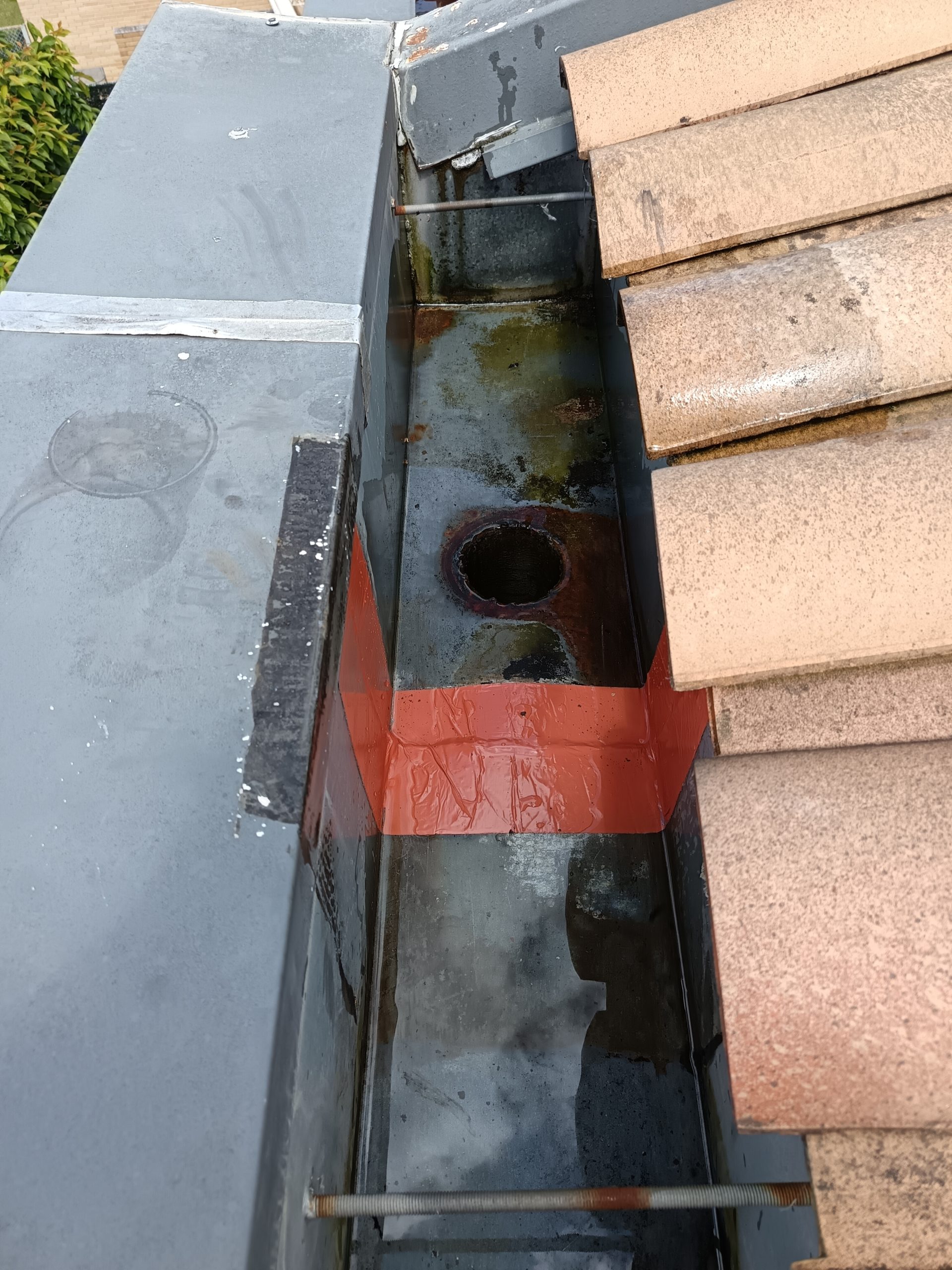 proyecto 11 reforna scaled